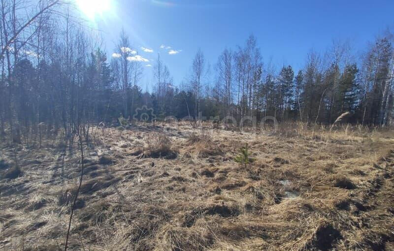 Земля под ИЖС, 16 соток Шатура - изображение 4