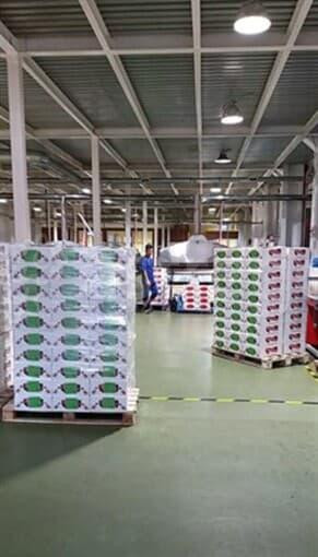 Производственное, 15000 м2 Санкт-Петербург - изображение 3