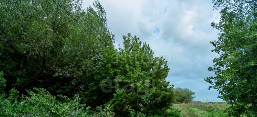 Земельный участок, 18.5 сотки Алтайское - изображение 3