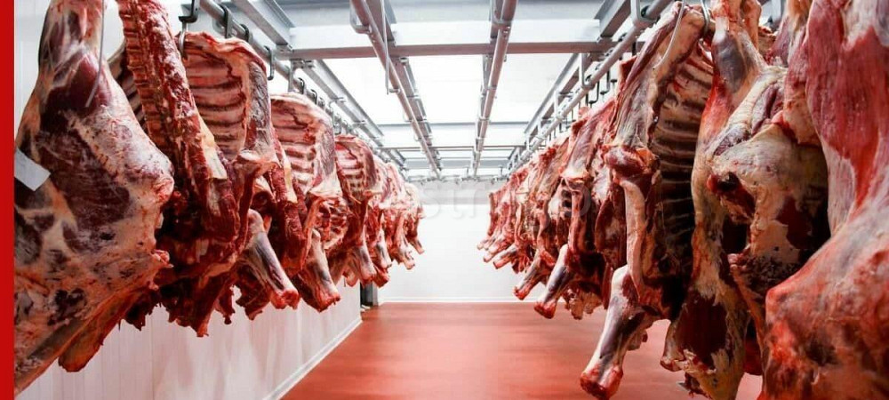 Производственное, 1000 м, 3 га Энем - изображение 2