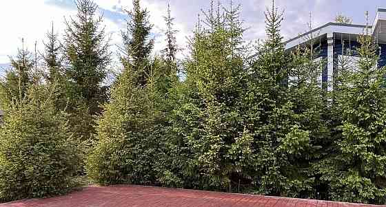 Дом, 156.2 м2, 7.8 сотки, 1 эт. Москва