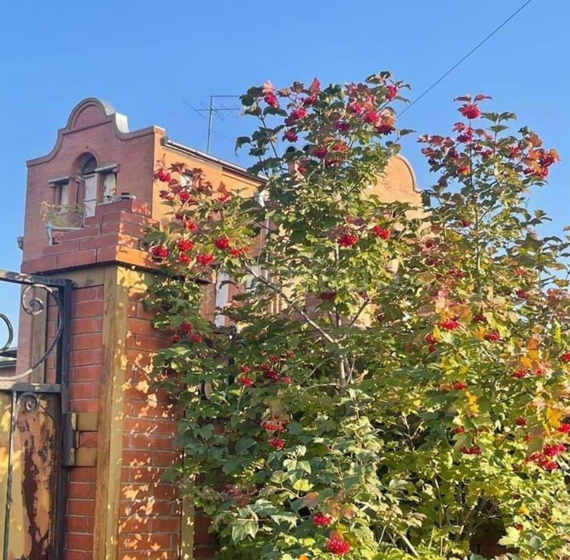 Коттедж, 960 м2, 27 соток, 3 эт. Березовка - изображение 1