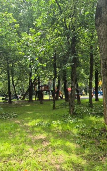 Комната, 17.6 м2, 4/5 эт. Москва - изображение 5