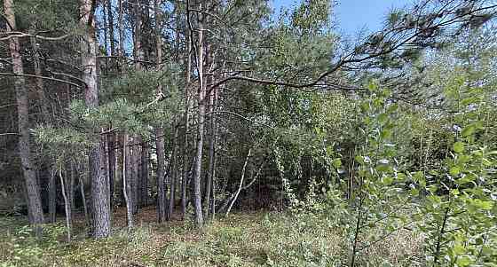 Земельный участок, 15 соток Красноярск