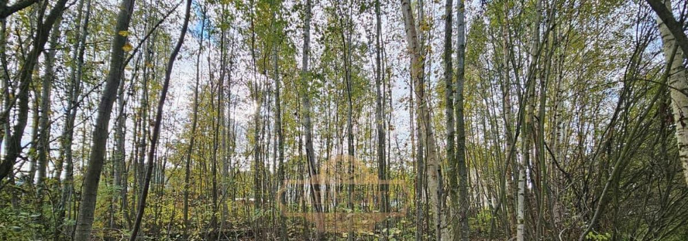 Земельный участок, 9 соток Санкт-Петербург - изображение 7