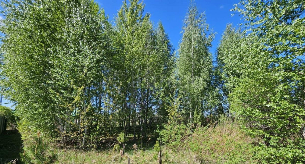 Земельный участок, 15 соток Уфа - изображение 3