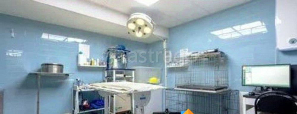 Готовый бизнес, 250 м2 Санкт-Петербург - изображение 2