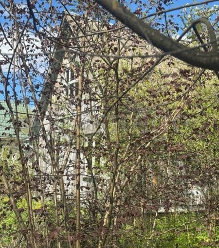 Дача, 45 м2 Чехов - изображение 1