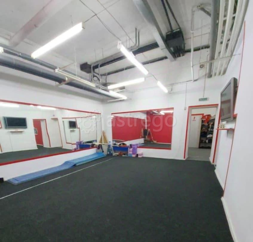 Свободного назначения, 315 м2 Барнаул - изображение 2