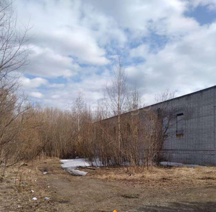 Коммерческий участок, 31 сотка Северодвинск - изображение 4