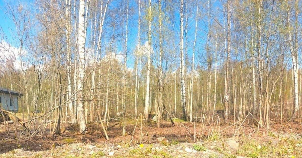 Земельный участок, 12 соток Санкт-Петербург - изображение 1