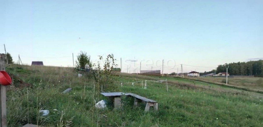 Земельный участок, 10 соток Емельяново - изображение 3