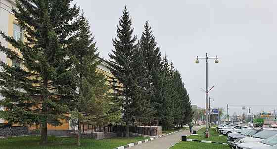 Офис, 1119.1 м2 Барнаул