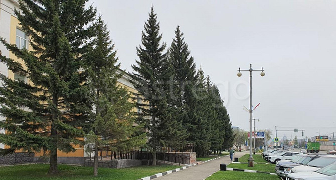 Офис, 1119.1 м2 Барнаул - изображение 4