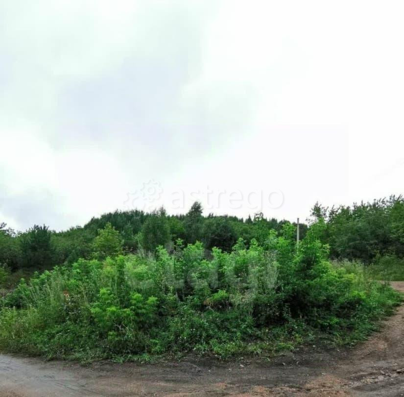 Земельный участок, 9.97 сотки Белокуриха - изображение 1