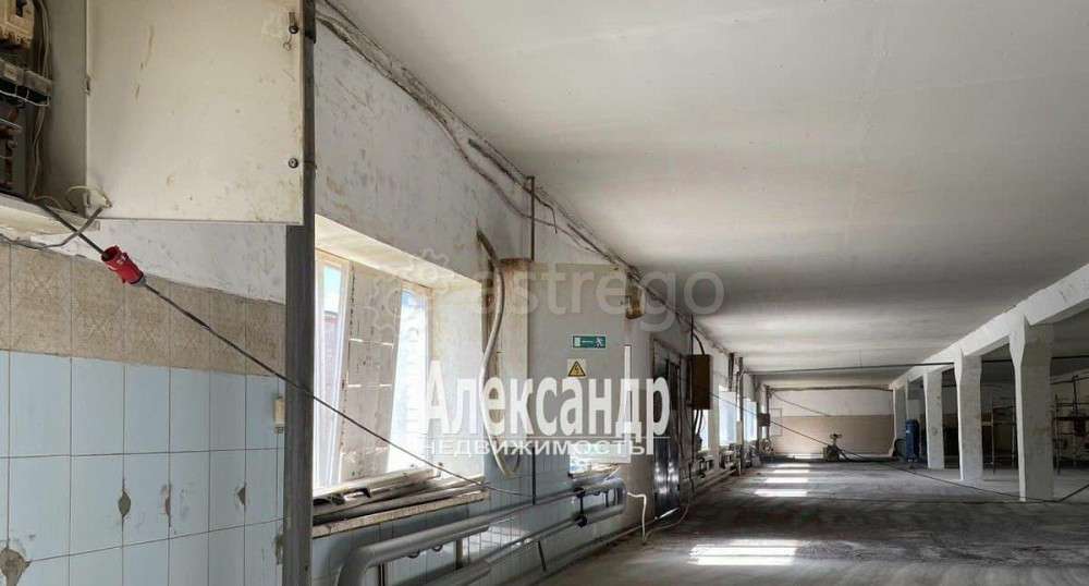 Производственное, 887 м2 Санкт-Петербург - изображение 6