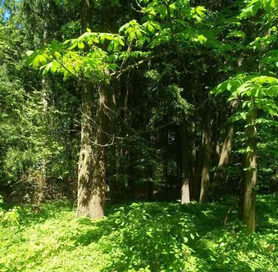 Земельный участок, 0.53 га Лобня