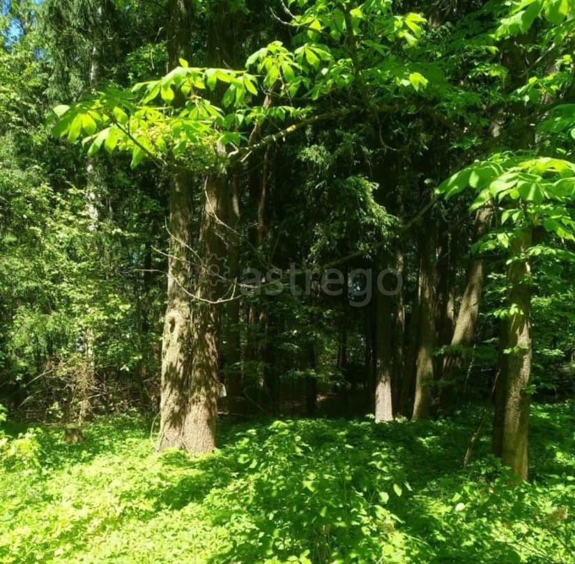 Земельный участок, 0.53 га Лобня - изображение 1