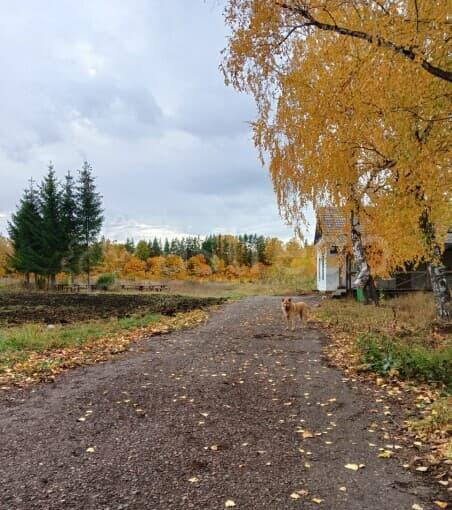Земля с/х назначения, 12.38 га Кармаскалы - изображение 9