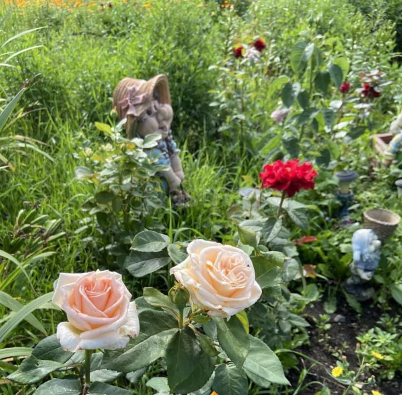 Коттедж, 180 м2, 15 соток, 2 эт. Назарово - изображение 4