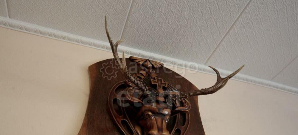 3-комн. квартира, 59 м2, 2/5 эт. Горно-Алтайск - изображение 3