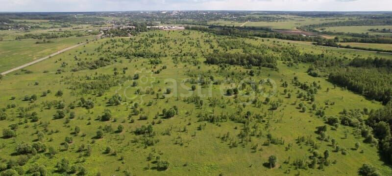 Земельный участок, 20 га Можайск - изображение 4