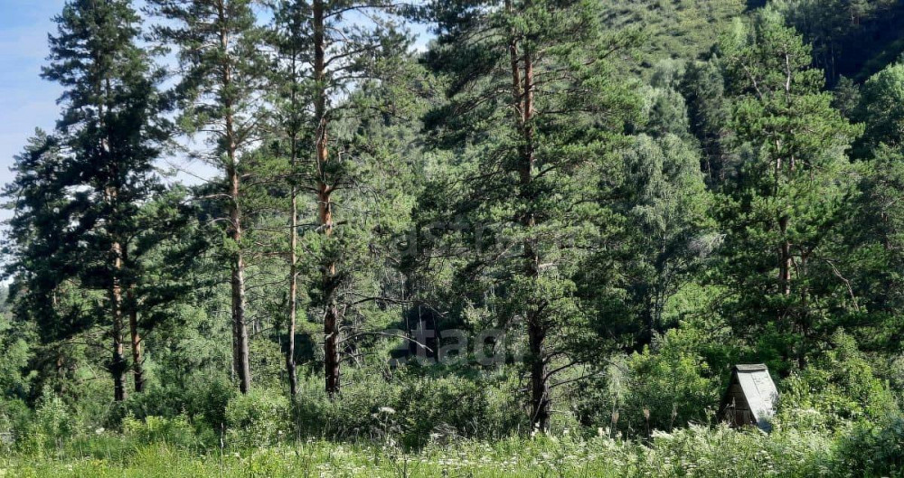 Земельный участок, 1.8 га Алтайское - изображение 5