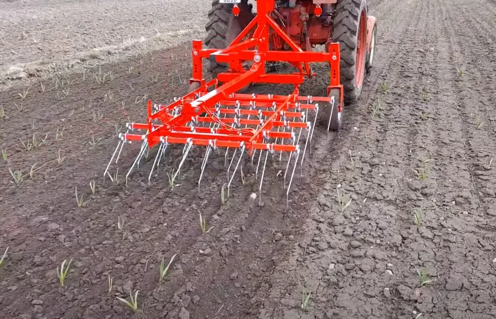 Штригельная борона для Прополки Чеснока Краснодар - изображение 4