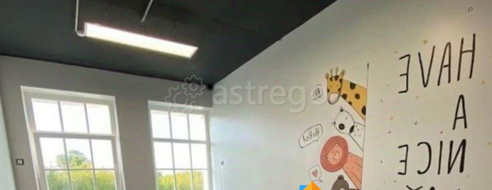 Готовый бизнес, 284 м2 Санкт-Петербург - изображение 3