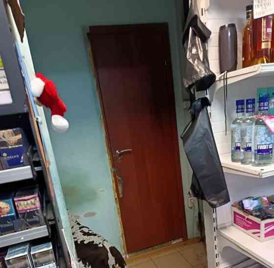 Свободного назначения, 50.5 м2 Балашиха