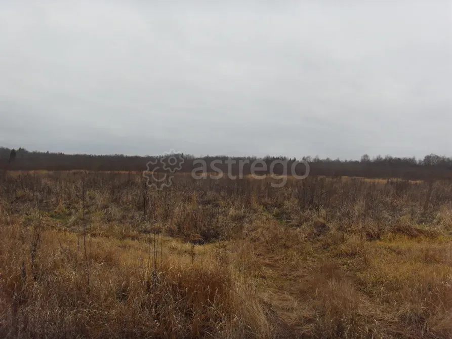 Продам Участок, Садовый, 1280 сот. Калязин - изображение 7