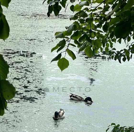 Земельный участок, 9.7 сотки Балашиха