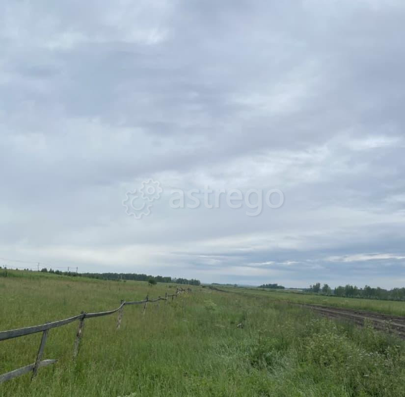 Земельный участок, 10 соток Емельяново - изображение 6