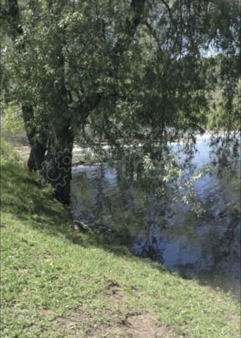 Земельный участок, 2 га Тальменка - изображение 7