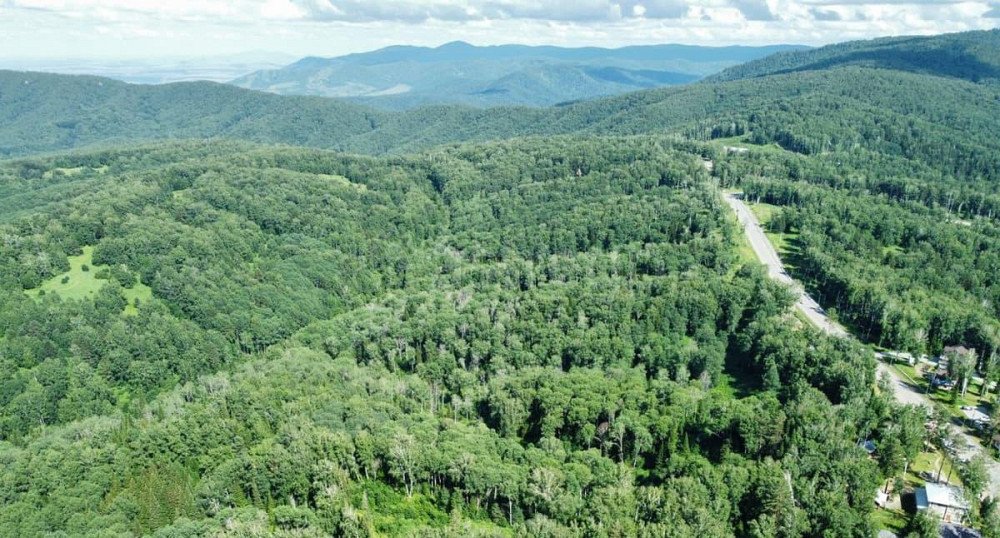 Коммерческий участок, 2.88 га Белокуриха - изображение 2