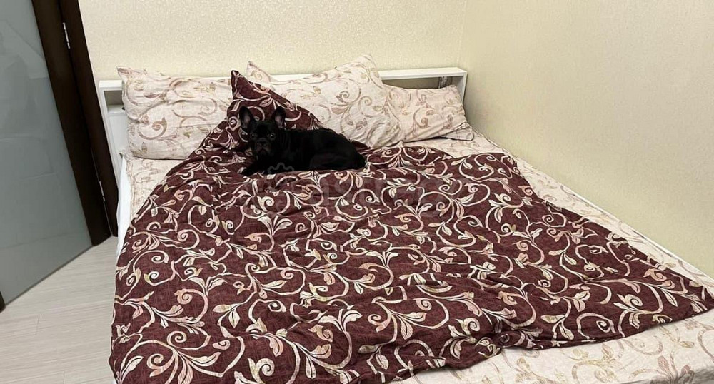 1-комн. квартира, 40 м2, 3/6 эт. Красногорск - изображение 6