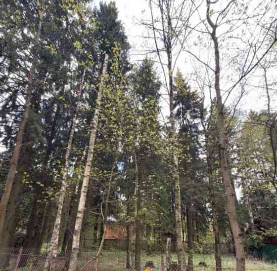 Земельный участок, 5 соток Лобня