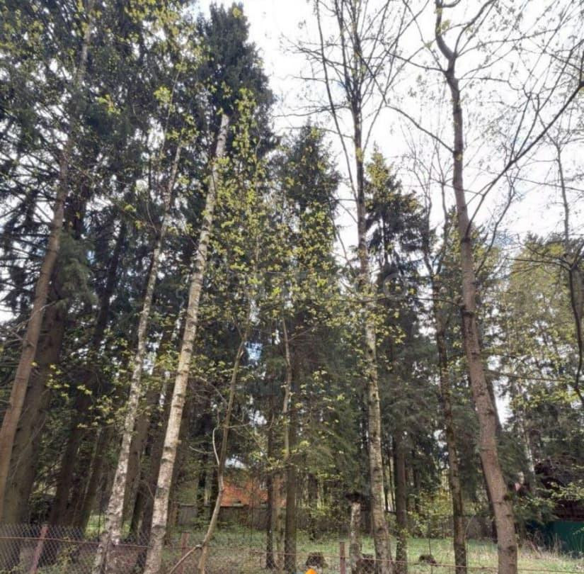 Земельный участок, 5 соток Лобня - изображение 1