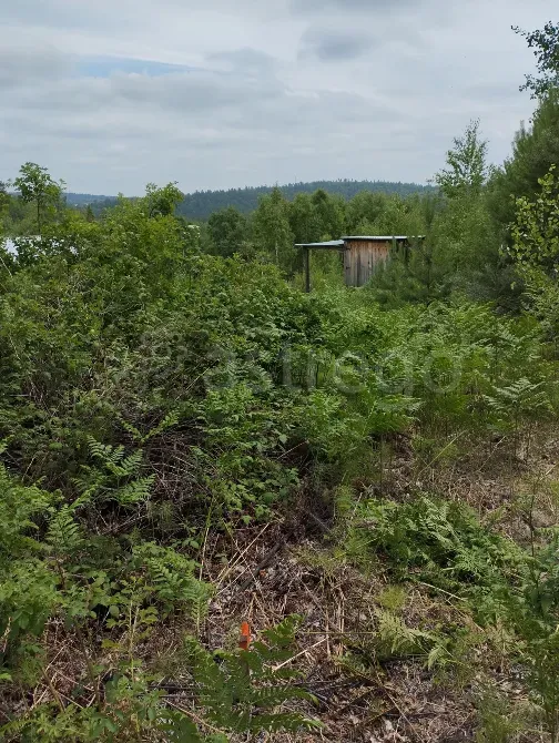 Продам участок, Садовый, 20 сот. Иркутск - изображение 1