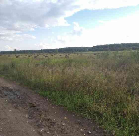 Земельный участок, 20.43 га Шушенское