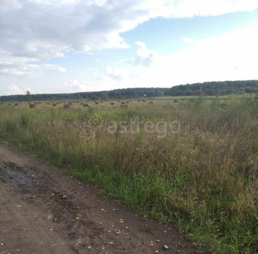 Земельный участок, 20.43 га Шушенское - изображение 3