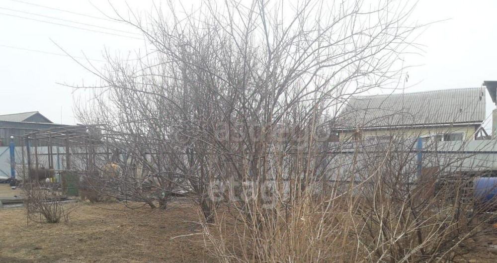 Земельный участок, 30.6 сотки Свободный - изображение 2