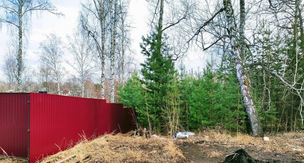 Земельный участок, 12 соток Красноярск - изображение 5