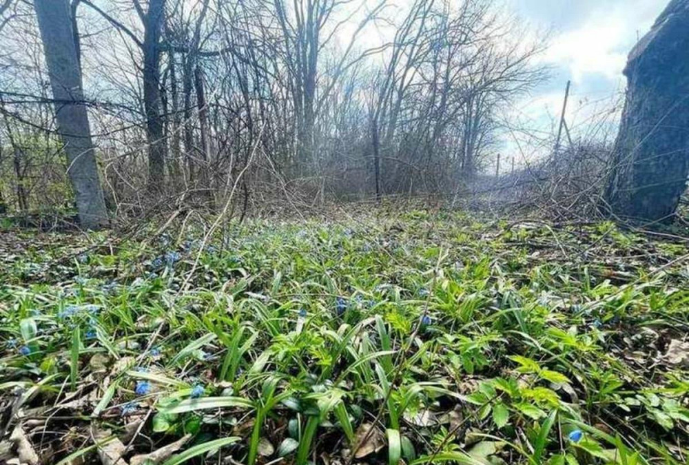 Дача, 24.97 м2, 4.5 сотки Стрелецкое - изображение 2