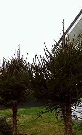 Дом, 150 м2, 6 соток, 2 эт. Санкт-Петербург