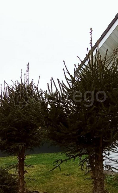 Дом, 150 м2, 6 соток, 2 эт. Санкт-Петербург - изображение 3