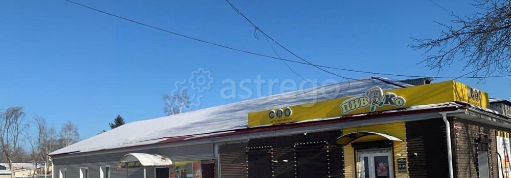 Свободного назначения, 200 м2 Райчихинск - изображение 1