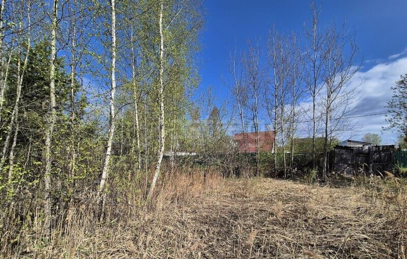 Земля с/х назначения, 4.52 сотки Электрогорск - изображение 7