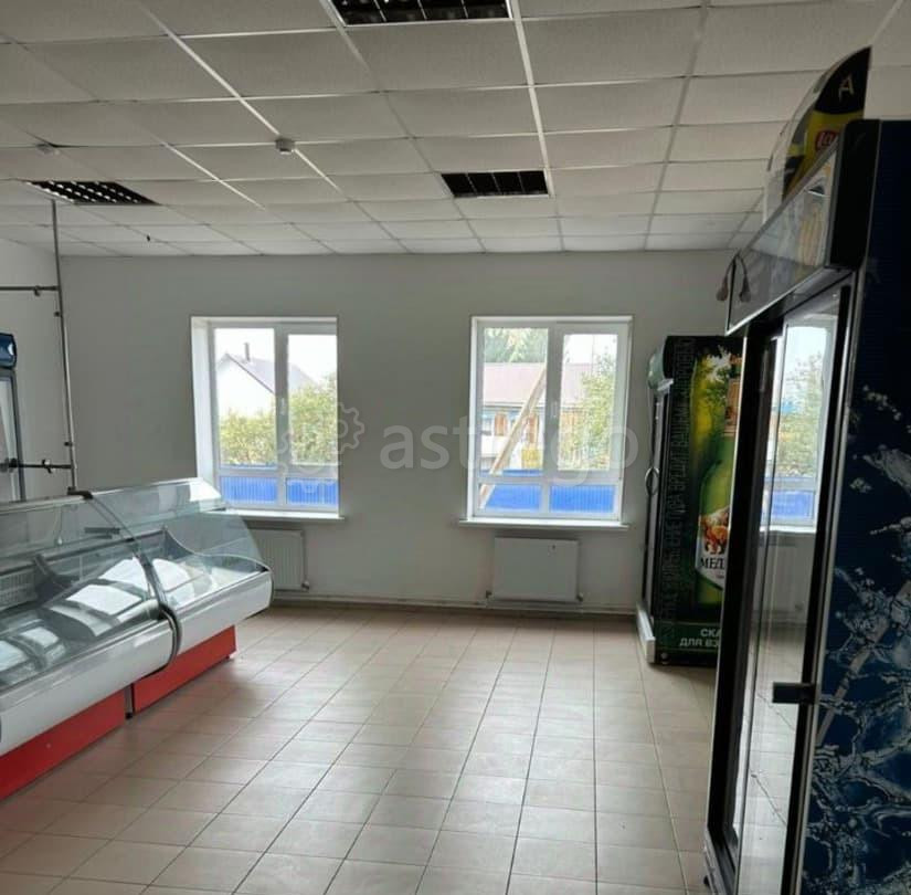 Торговое помещение, 370 м2 Чишмы - изображение 3