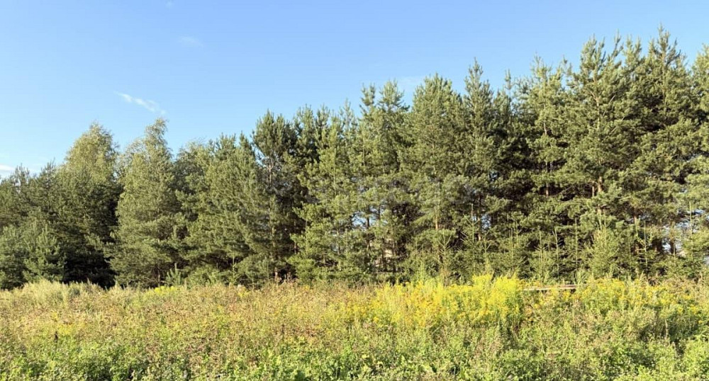 Земельный участок, 7 соток Пушкино - изображение 1